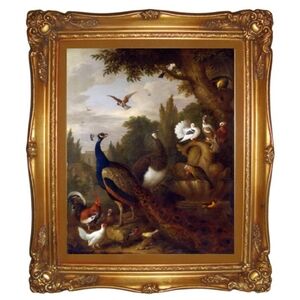 Colorful Bird Art Print